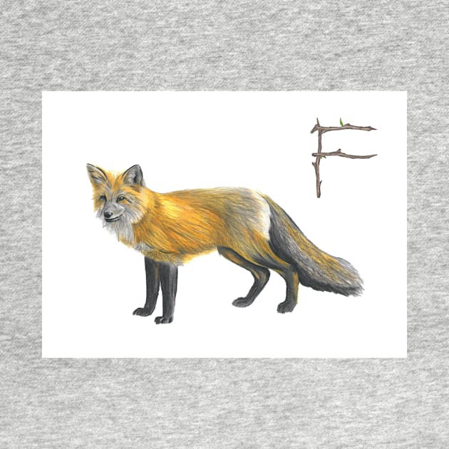 f for fox alphabet illustration by DamiansART